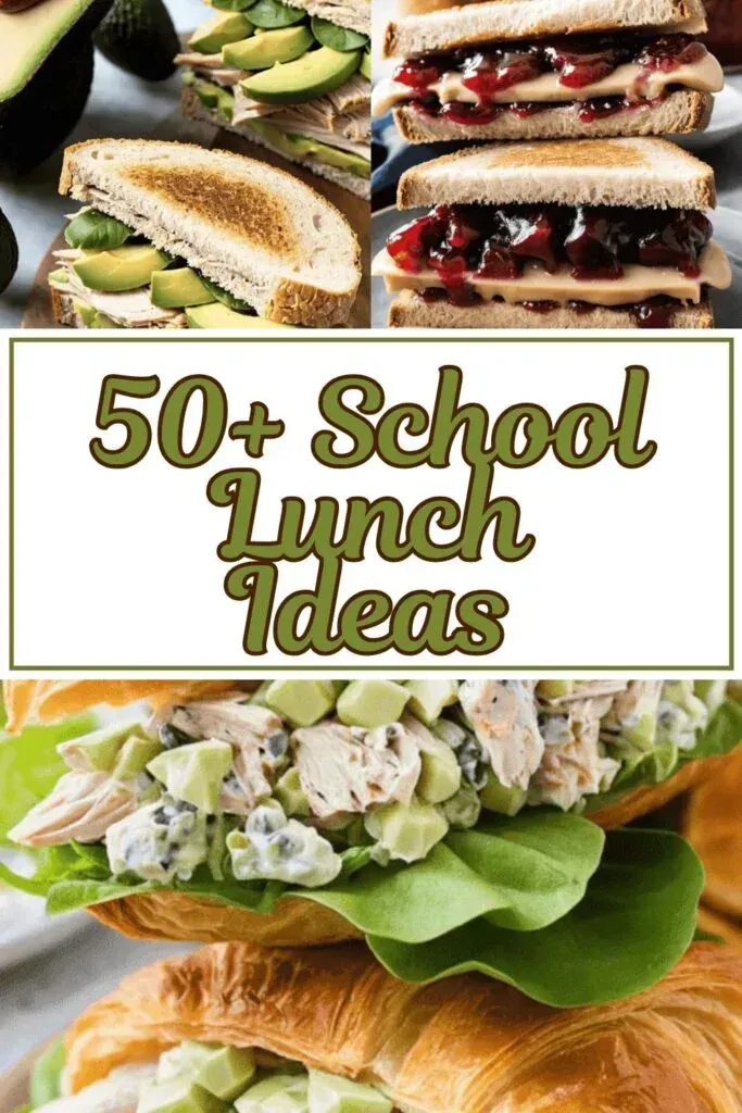 School Lunch Ideas 