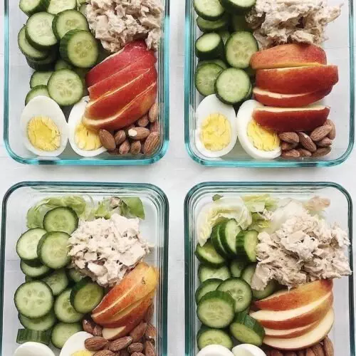 High Protein Low Carb Recipes